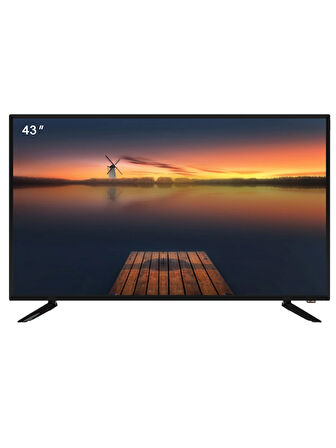 43" Profesyonel Explosion LED Monitör | HDMI VGA Girişli | 5ms Tepki Süresi | LSD-C43A-EX