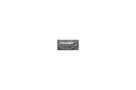 Bmw F20 Far Camı Sol 2015-2019 63117414141