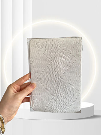 Pierre Cardin Paris Susanne Beyaz Desenli Fileli Şık Modern Külotlu Çorap