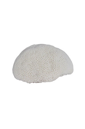 Lumienza Polyester Deniz Sünger Masa Lambası GLR-15S6022LW