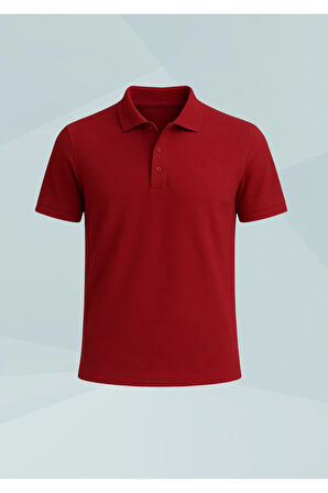 Erkek Giyim 5 Adet %100 Pamuklu Çok Renkli Regular Fit Polo Yaka T-Shirt LL.D01.IN1.002
