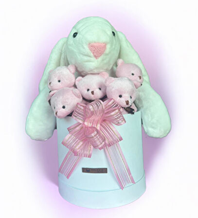 SOLE Premium Özel Hediye Kutusunda 45 cm Beyaz Bunny Tavşan ve 5 Adet Kırmızı Peluş Ayıcık Buketi