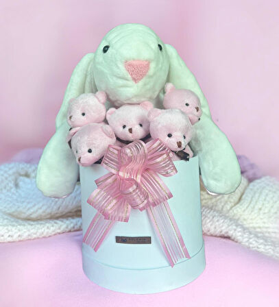 SOLE Premium Özel Hediye Kutusunda 45 cm Beyaz Bunny Tavşan ve 5 Adet Kırmızı Peluş Ayıcık Buketi