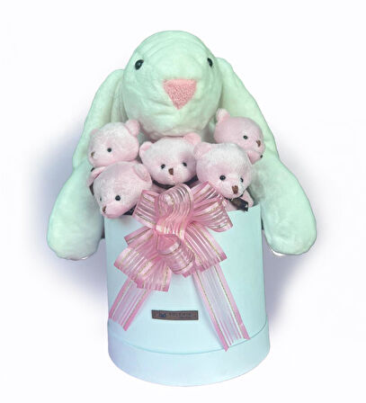 SOLE Premium Özel Hediye Kutusunda 45 cm Beyaz Bunny Tavşan ve 5 Adet Kırmızı Peluş Ayıcık Buketi