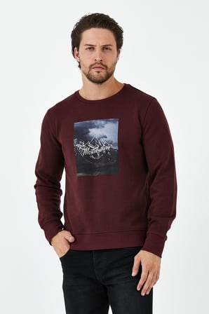 Erkek Kışlık Baskılı Bisiklet Yaka Lacivert Sweatshirt