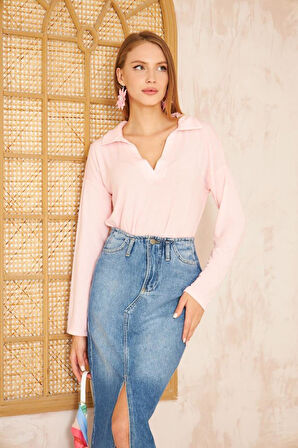 Kadın Polo Yaka Pudra Uzun Kol Bluz-2940160