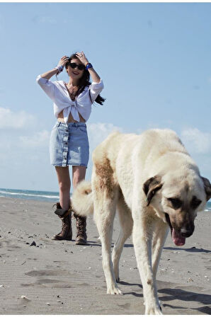 Kadın Kar Yıkama Düğmeli Cepli Denim Kot Mini Etek 700-kt0053