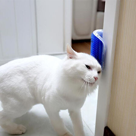 Pratik Kedi Tüyü Kaşıma Ve Tarama Aparatı Duvara Monte Kaşıma Aleti  GO50608278530