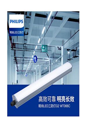 Philips 40W Etanj Led Bant Armatür IP65 Gün Işığı 4000K 120 cm ( Su Geçirmez) 