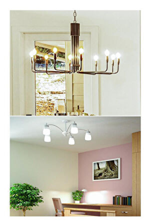 Panasonic 6,5W (50W) Led Mum Ampul Gün Işığı 4000K - E14 3 Adet Avize Lambası