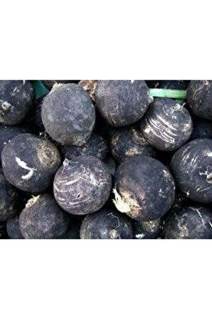 Tohum Siyah Turp Tohumu Kara Turp Tohumu + 50 Adet