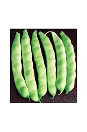 15 Adet Istanbul Boncuk Ayşe Kadın Kılçıksız Fasulye Tohum