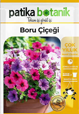 100 Adet Boru (Petunya) (Petunia) Çiçek Tohumu