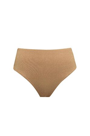 DeFacto Regular Fit Parlak Kumaş Yüksek Bel Bikini Altı-Fall in Love C3180AX24SMYL275
