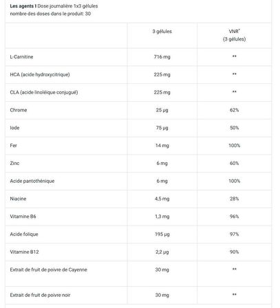 Bıotech Usa Mega Fat Burner yağ yakıcı  / 90 Caps