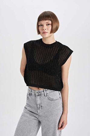 DeFacto Relax Fit Bisiklet Yaka Parlak Kumaş Triko Süveter B7510AX23WNBK27