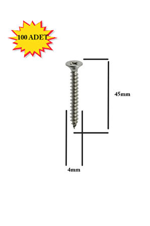 Sunta Vidası 4x45Mm Ahşap Vida Raf Vidası Ahşap Tahta Mobilya Vidası Kısa Vida 100 Adet