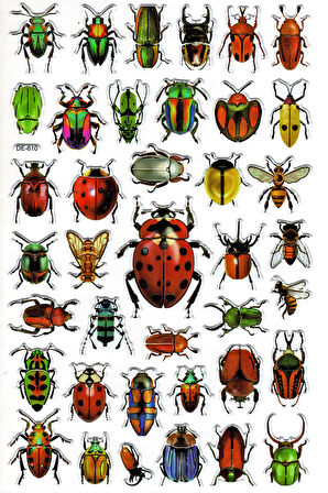 Sticker Kabartmalı Yaldızlı Stiker Çıkartma Etiket (DE610)-16x25 cm- Böcek Türleri