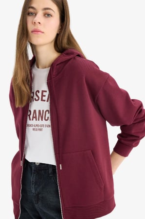 Relax Fit Kapüşonlu Basic Düz Kalın Kumaş Fermuarlı Sweatshirt
