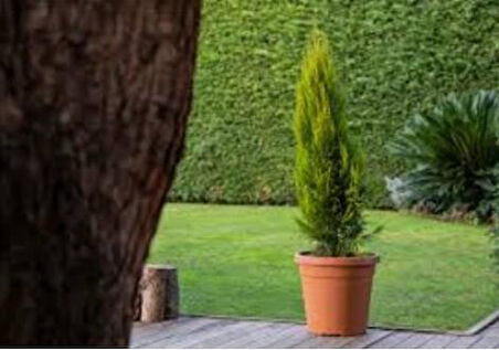 Omnipazar SO-VHS7 Dekoratif Vaha Saksı İç ve Dış Mekan 31 Litre No 7