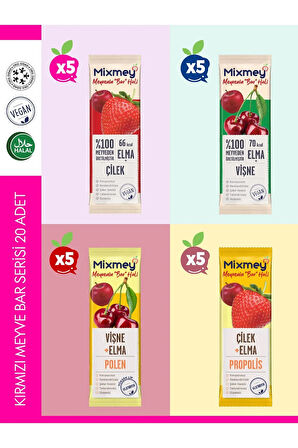Mixmey Tropik Meyve Bar Serisi 20 Adet | Vegan Ve Glutensiz Sağlıklı Atıştırmalık - 20gr X 20 Adet