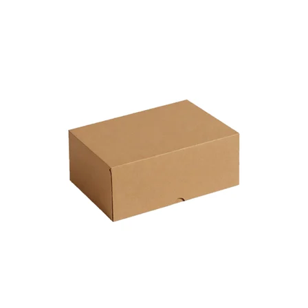 Lunaev 50PCS Lastik Tamir - Yama Fitili