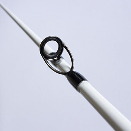 RYUJI SURF MASTER 4.20M, 100-250GR, TELE SURF KAMIŞ