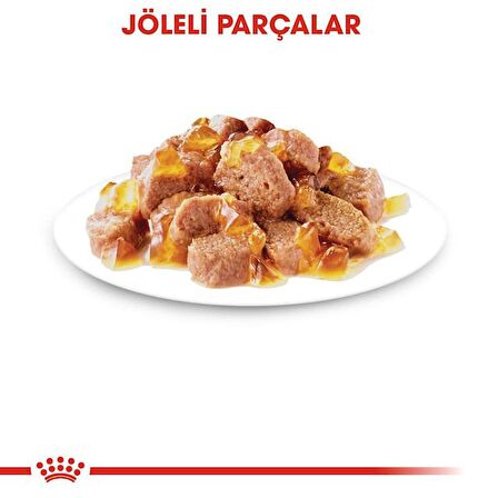 Royal Canin Sterilised Kısırlaştırılmış Kediler için Jöle İçerisnde Yaş Kedi Maması 85g