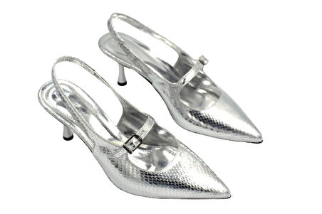 Prego Kapalı Burun Toka Detaylı Topuklu Kadın Ayakkabı GUMÜŞ