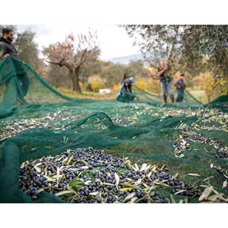 4X5 METRE ZEYTİN SERGİSİ ZEYTİN TOPLAMA FİLESİ FINDIK FISTIK ÖRTÜSÜ GÖLGELİK DUT MEYVE SERGİSİ TABAN ÖRTÜSÜ