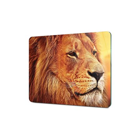 Decovetro Cam Kesme Tahtası Aslan Desenli 20x30 Cm