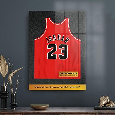 Decovetro Cam Tablo Michael Jordan Forma