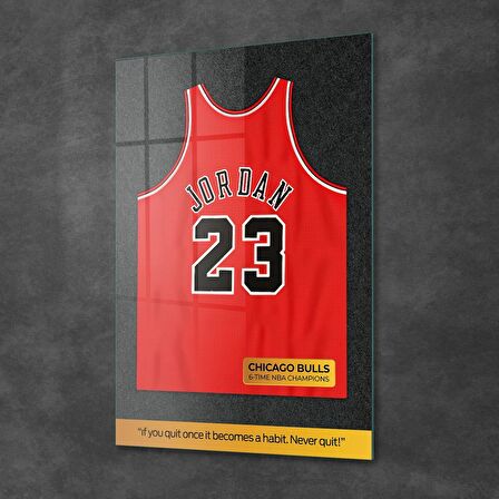 Decovetro Cam Tablo Michael Jordan Forma