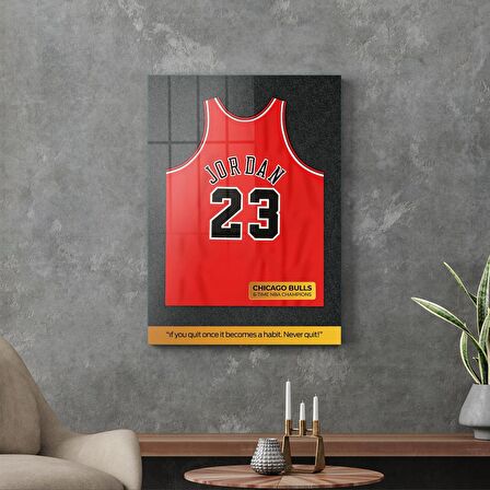 Decovetro Cam Tablo Michael Jordan Forma