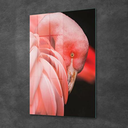 Decovetro Cam Tablo Flamingo