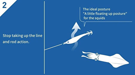 Yamashita Upper 95 mm Kalamar Zokası RW Keimura