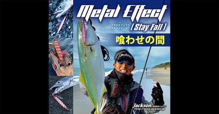 Jackson Metal Effect Stay Fall 60g 95mm Jig Yem