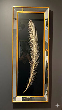 Siyah Üzerine Gold Tüy Aynalı Çerçeve Tablo
