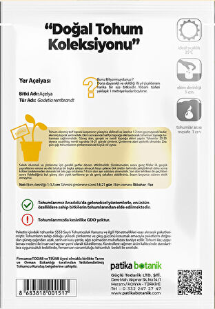 50 Adet Yer Açelyası (Godetia) Çiçek Tohumu