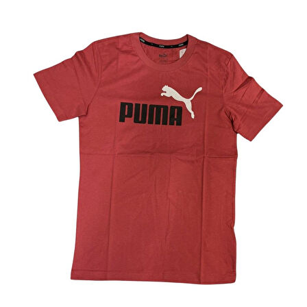 PUMA ESS 2 COL LOGO TEE ERKEK TSHİRT