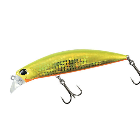 Duo Beach Walker Fulcrum 95 AQA0063 Hirame Gold