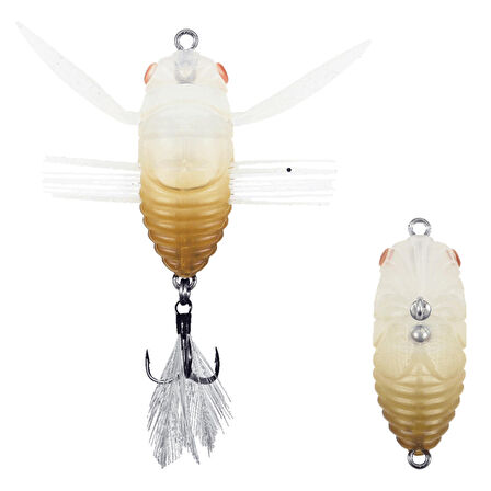 Duo Realis Shinmushi CCC3207