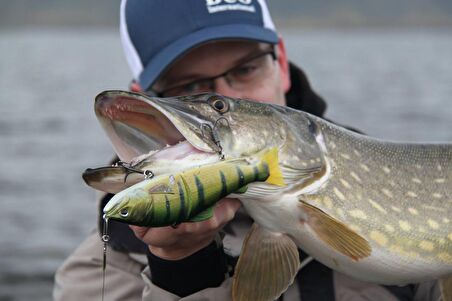 Duo Realis Onimasu CCC3836 Rainbow Trout ND