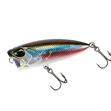 Duo Tetra Works Pocopoco 40F ADA4013 Wakasagi