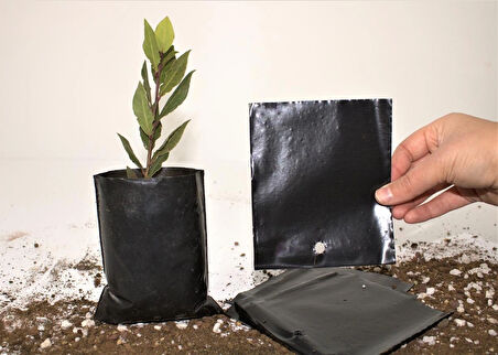 Fide Poşeti 11x13 CM 10 ADET Fide Torbası Fidan Poşeti