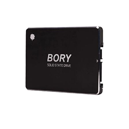 BORY R500-C512G SATA3 512 GB SSD 550/510 MBS HARDDİSK (4533)