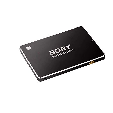 BORY R500-C512G SATA3 512 GB SSD 550/510 MBS HARDDİSK (4533)