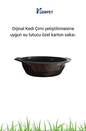 Organik Kedi Çimi Seti 2'li Sürpriz Mama Ödülü Hediyeli (FİLELİ)