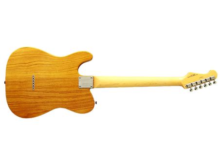 Fujigen Telecaster Elektro Gitar NTE100MAHVNT