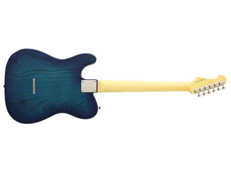 Fujigen Telecaster Elektro Gitar NTE100MAHSBB
